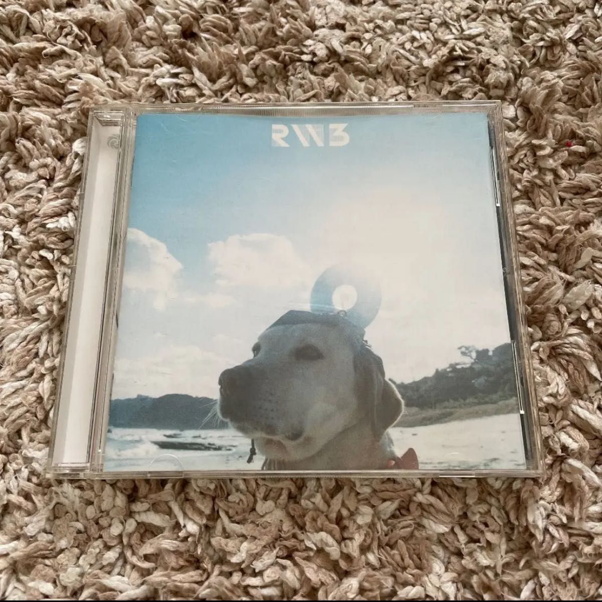 RADWIMPS 3～無人島に持っていき忘れた一枚～｜Yahoo!フリマ（旧PayPay