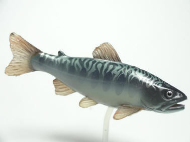 原色淡水魚図鑑2改訂版