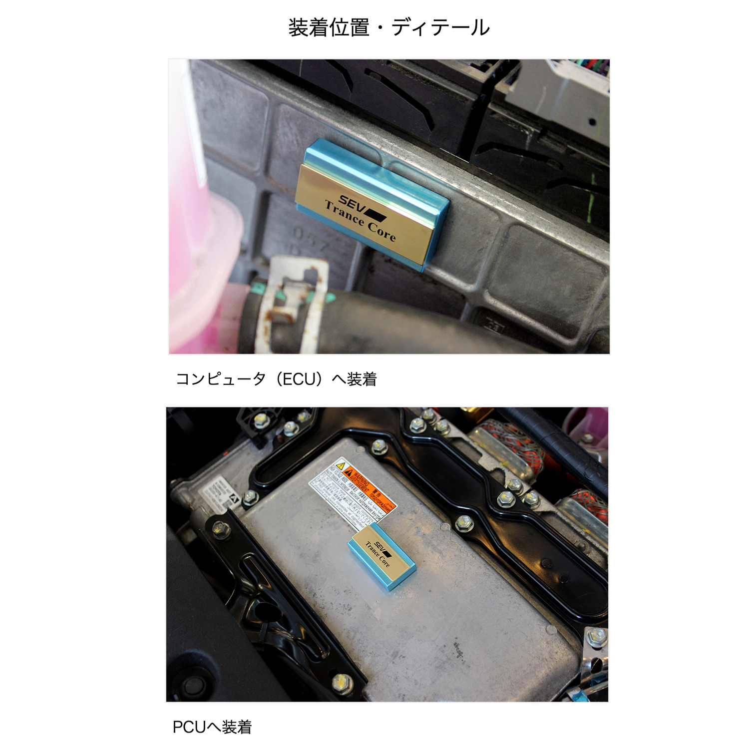 SEV トランスコア【SEV SPORTS 公式WEBショップ】 – SEV SPORTS