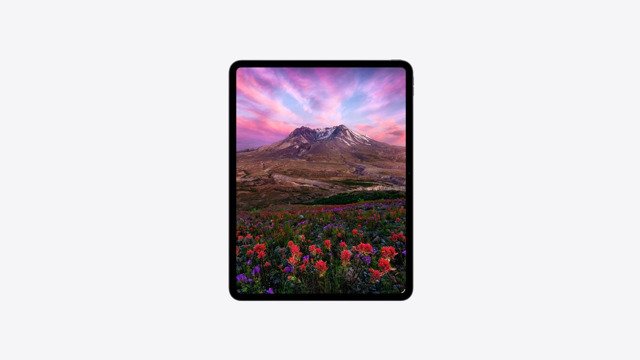iPad Pro金利0%の分割払い - Apple（日本）