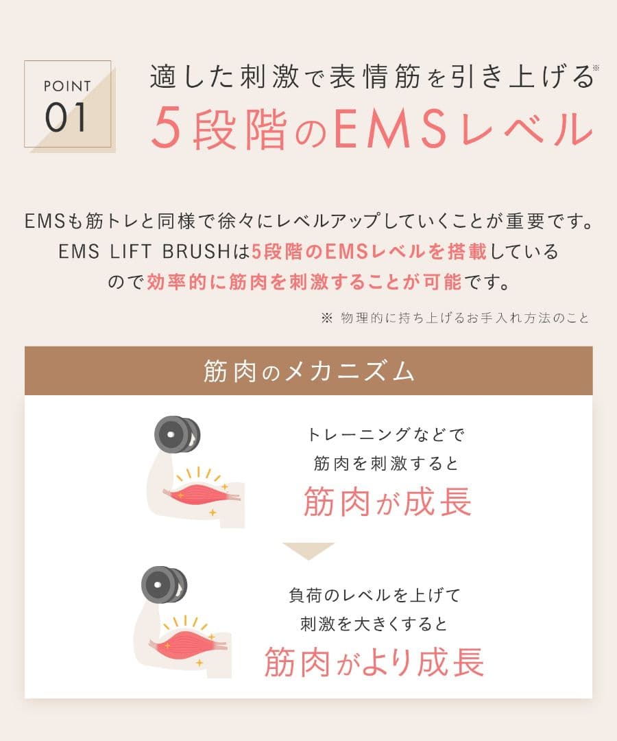 ★新品未使用★SALONIA《サロニアEMSリフトブラシ》デンキブラシ